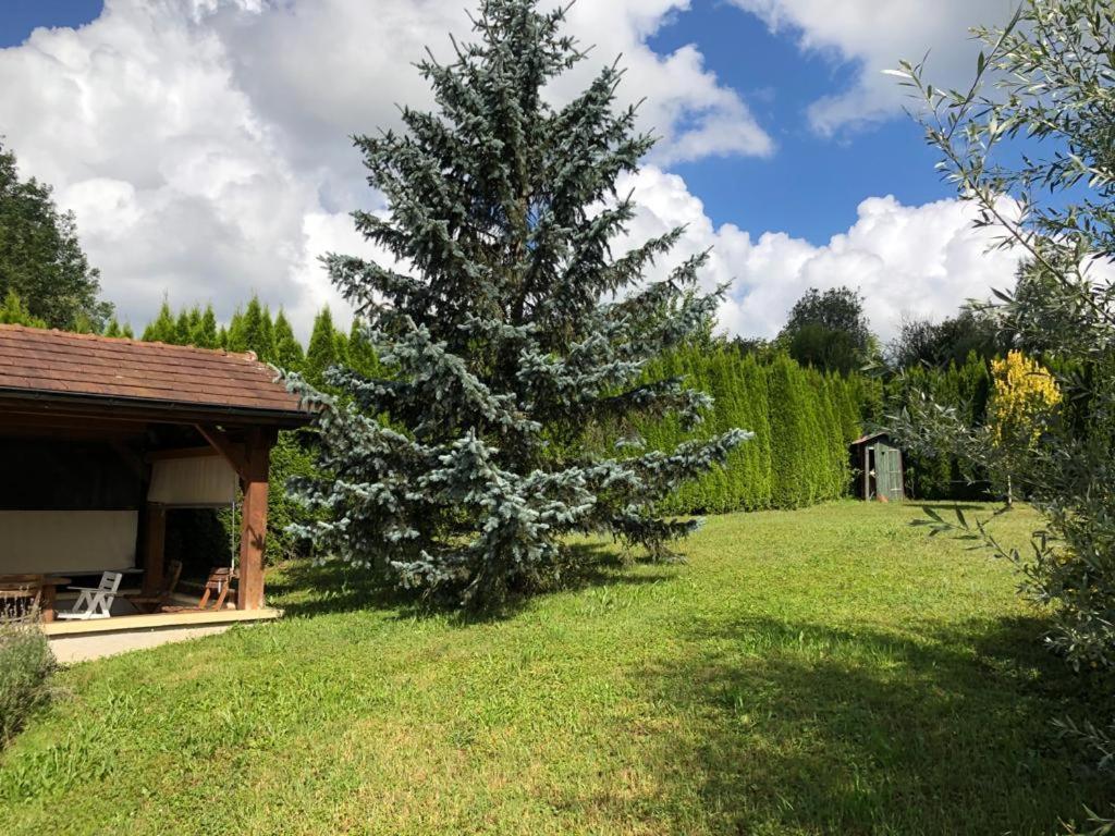 Maison/Gite Familial Dans Le Jura A 200M Du Lac Avec Piscine Privee Marigny  ภายนอก รูปภาพ