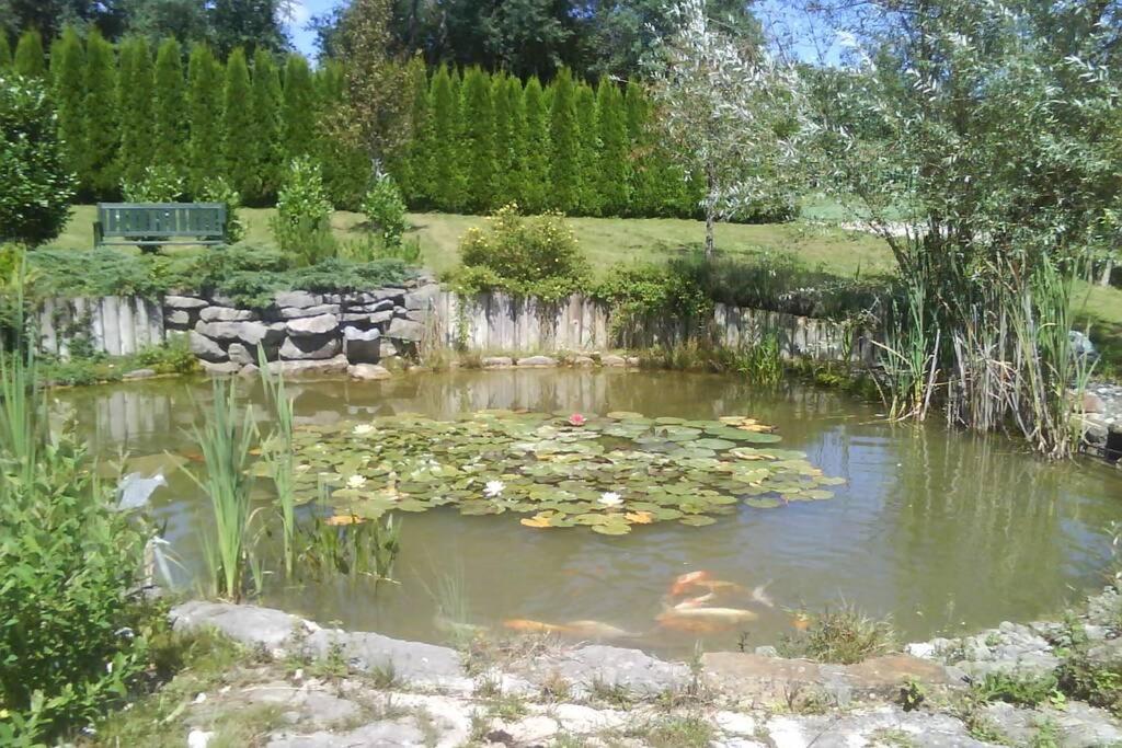 Maison/Gite Familial Dans Le Jura A 200M Du Lac Avec Piscine Privee Marigny  ภายนอก รูปภาพ
