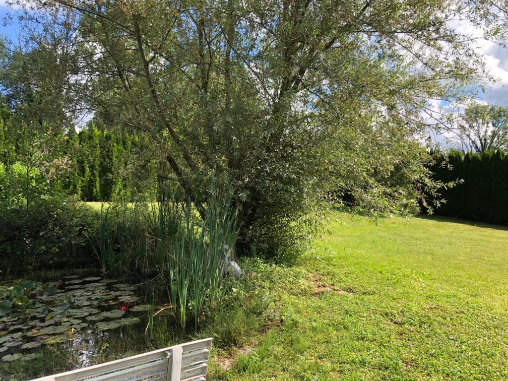 Maison/Gite Familial Dans Le Jura A 200M Du Lac Avec Piscine Privee Marigny  ภายนอก รูปภาพ