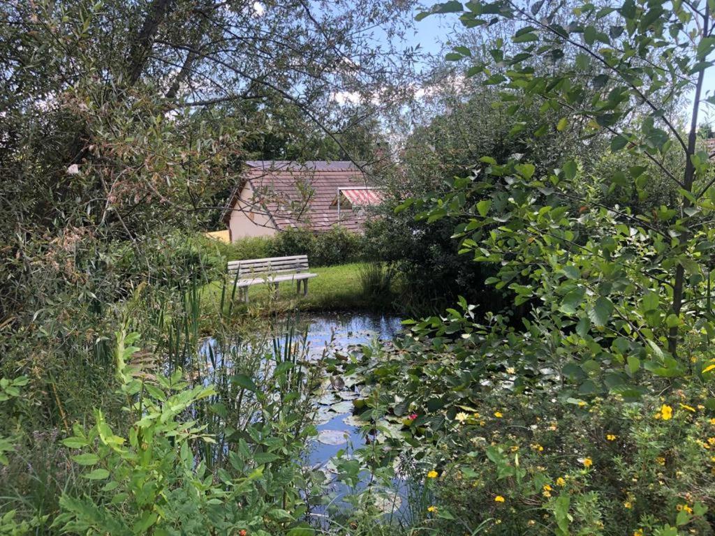 Maison/Gite Familial Dans Le Jura A 200M Du Lac Avec Piscine Privee Marigny  ภายนอก รูปภาพ
